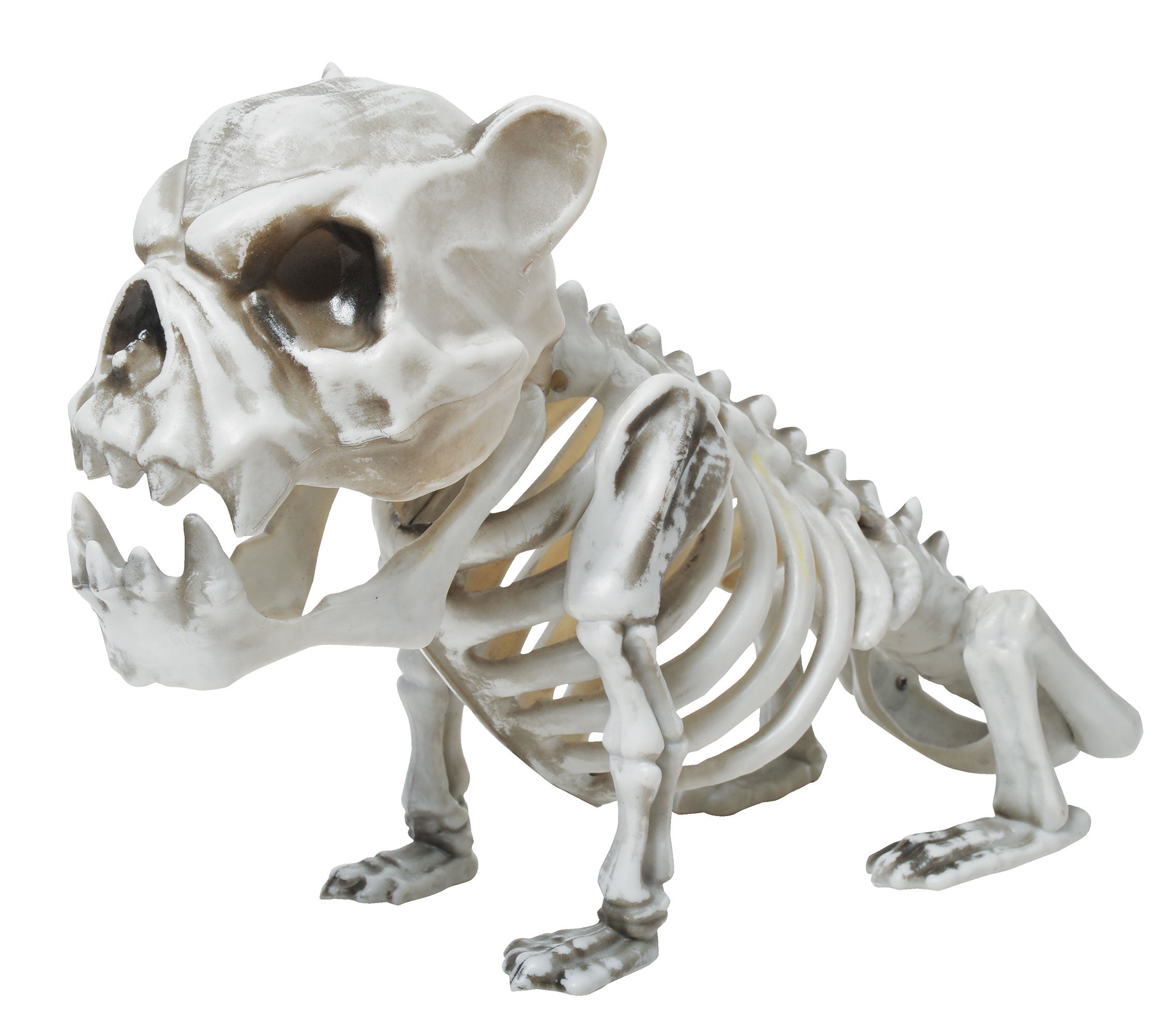 SKELE-BULL DOG