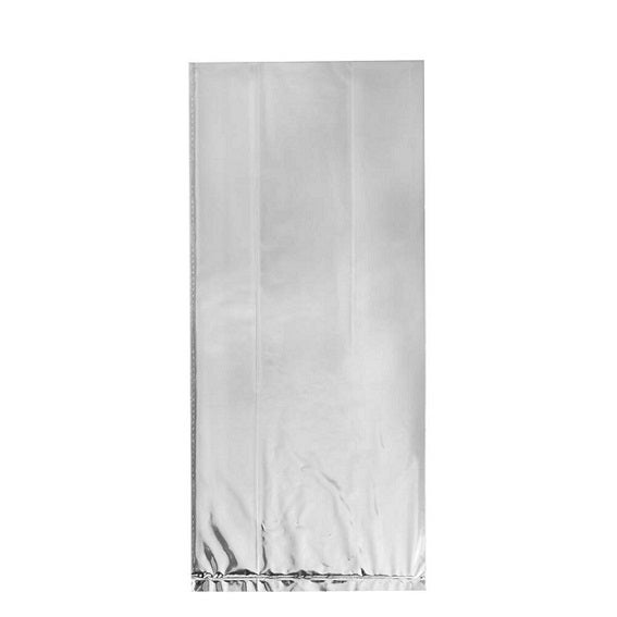 10CT Silver Bags