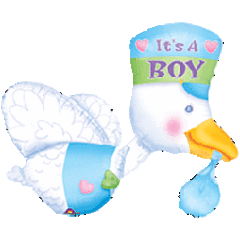 276 26IN BLLN P IT/BOY STORK