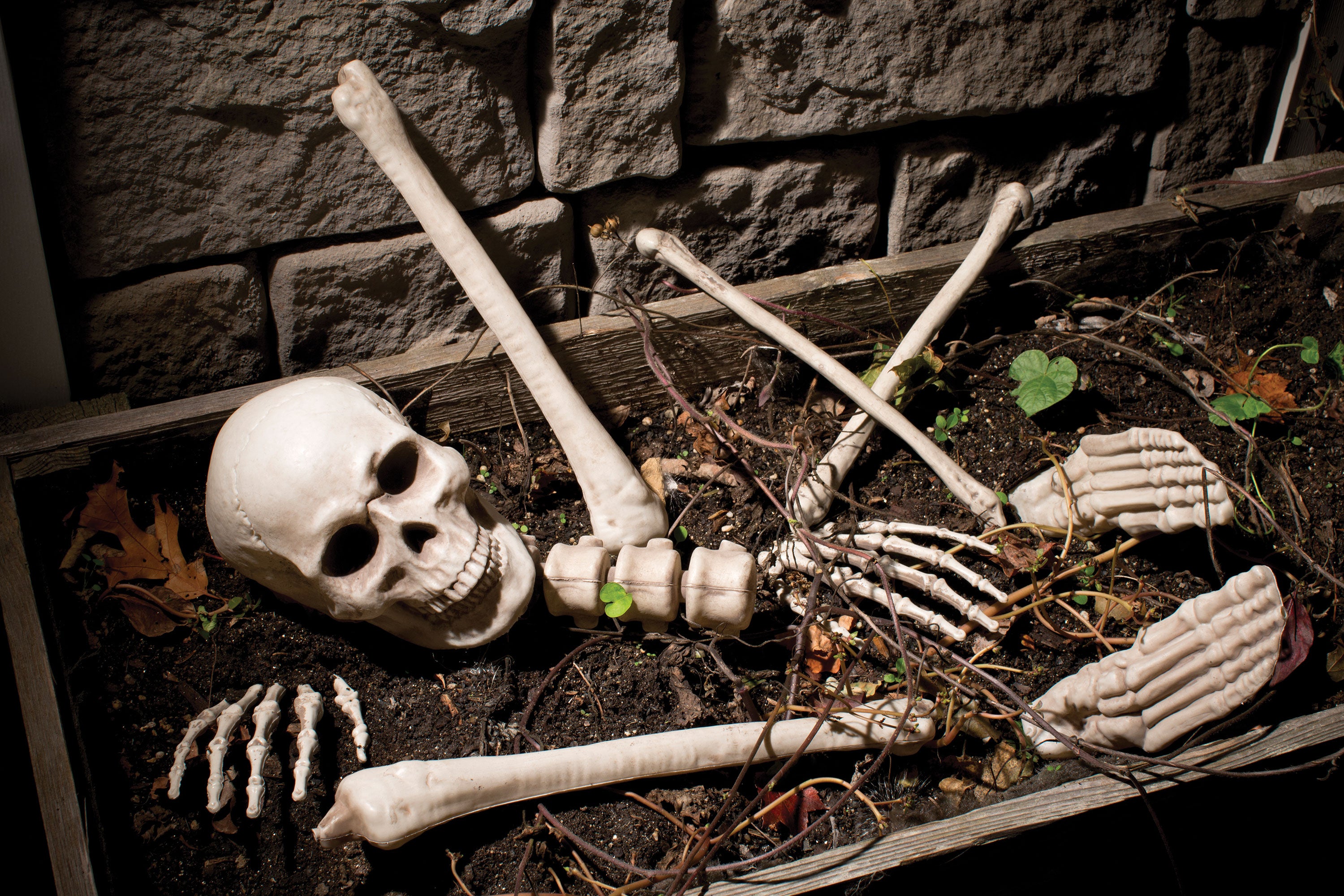 BAG O' BONES